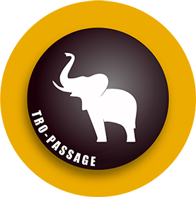 new_elephant